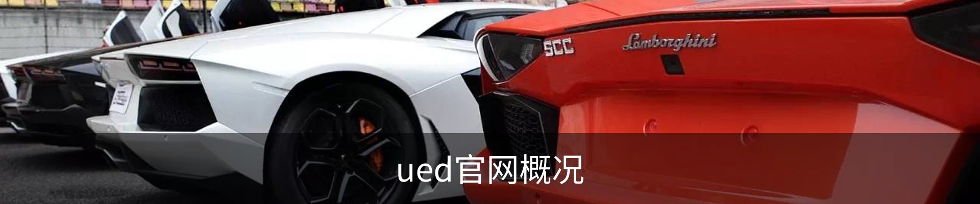 ued官网概况